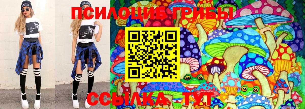 Галлюциногенные грибы Psilocybine cubensis  Псилоцибиновые грибы мицелий  Вход с VPN  Славгород 