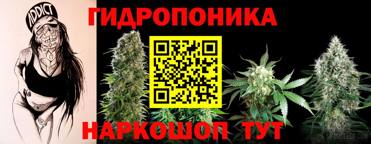 Бошки марихуана план Славгород